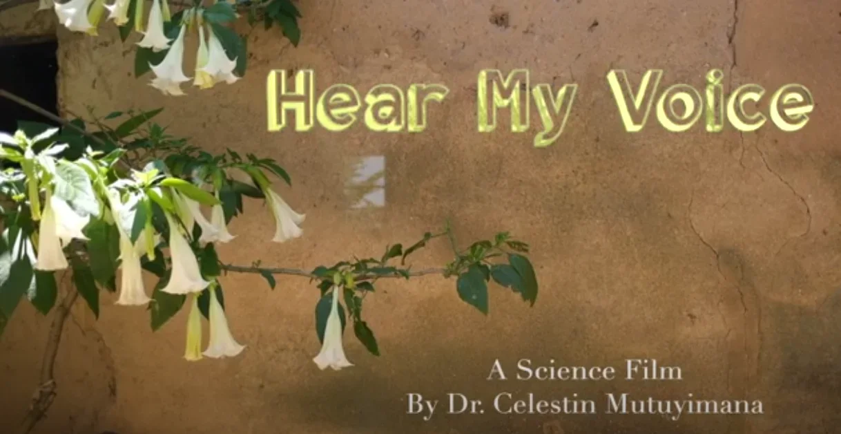 Full Version (English) dp picture